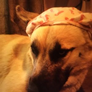 Meet your Posher, Aleta